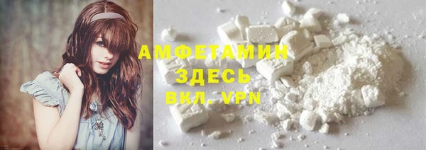 гидра Богородск