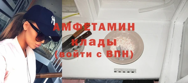 гидра Богородск