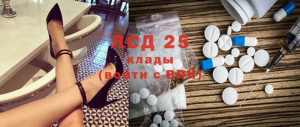 гидра Богородск