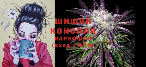 стаф Богородицк
