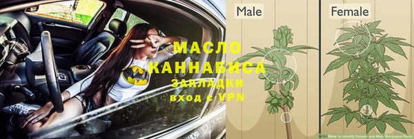 гидра Богородск