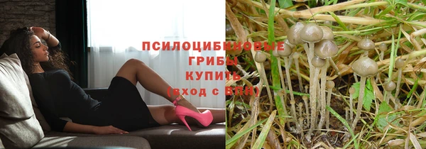крисы Богданович
