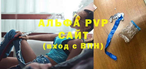 гидра Богородск