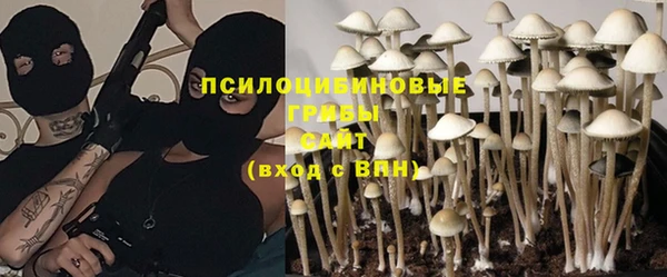 стаф Богородицк