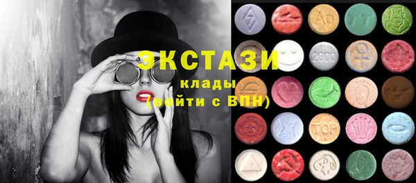 гидра Богородск