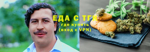 гидра Богородск
