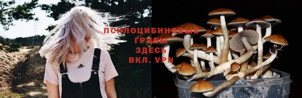 гидра Богородск